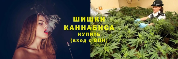 не бодяженный Инсар