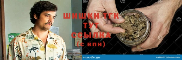 молекула духа Иннополис