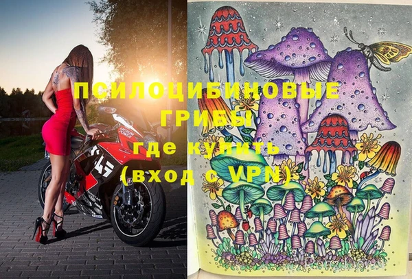 не бодяженный Инсар