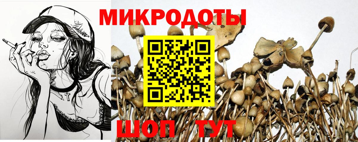 Курск  Галлюциногенные грибы Cubensis  Псилоцибиновые грибы мицелий  Вход с VPN 