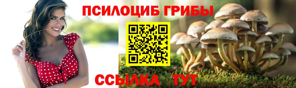 Галлюциногенные грибы GOLDEN TEACHER Курск